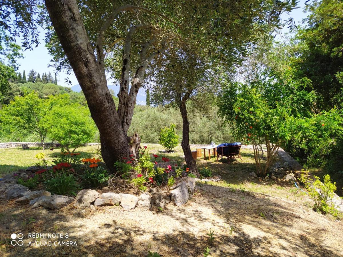 Corfu Villa Galini Potamós Екстериор снимка