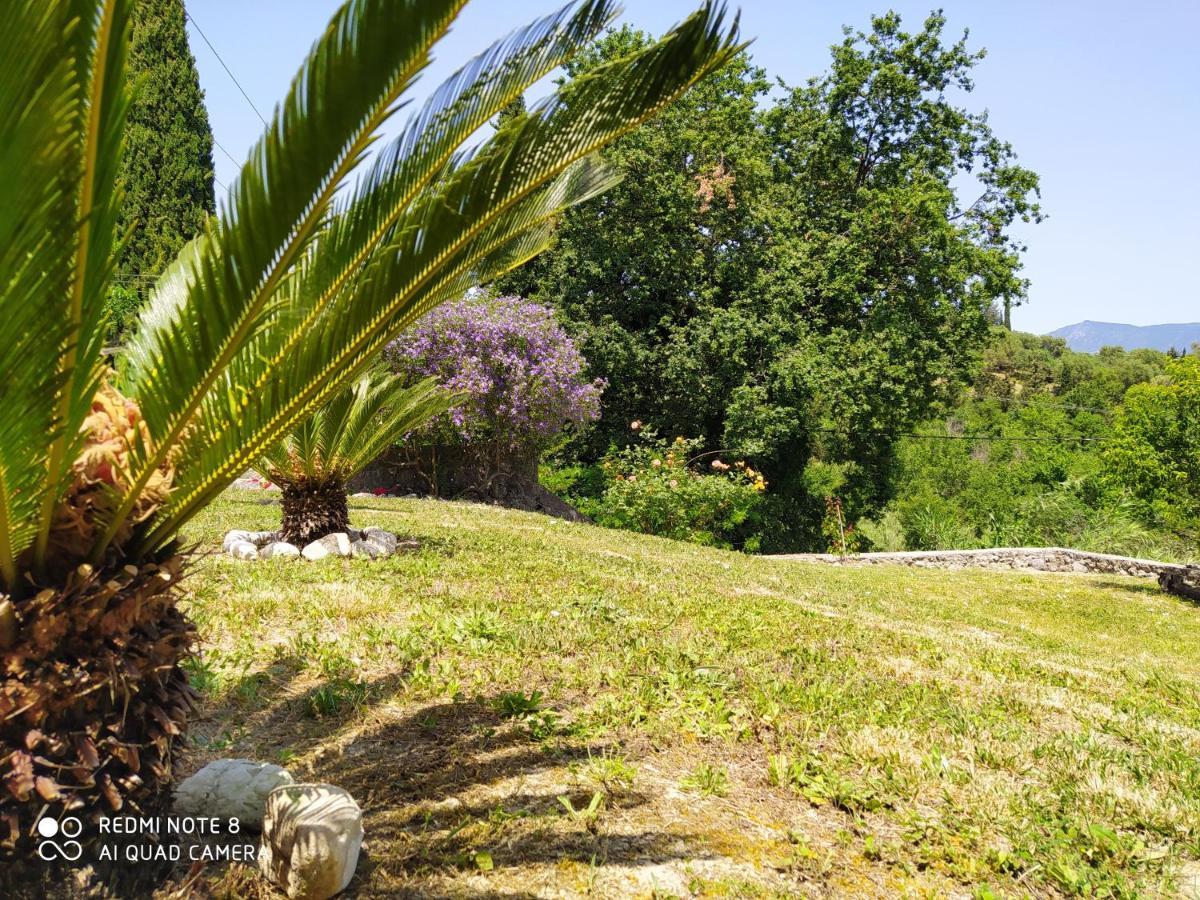 Corfu Villa Galini Potamós Екстериор снимка